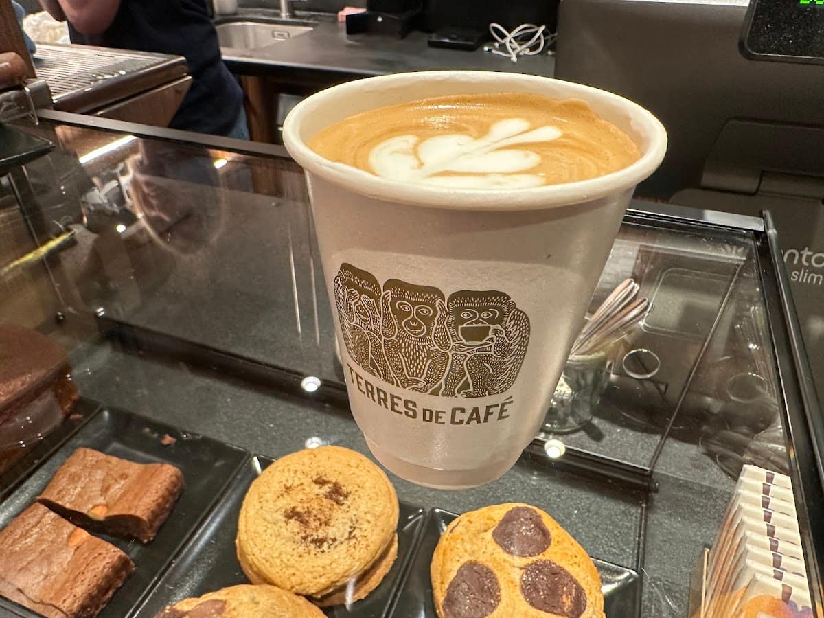 Terres de Café Saint-Germain-des-Prés